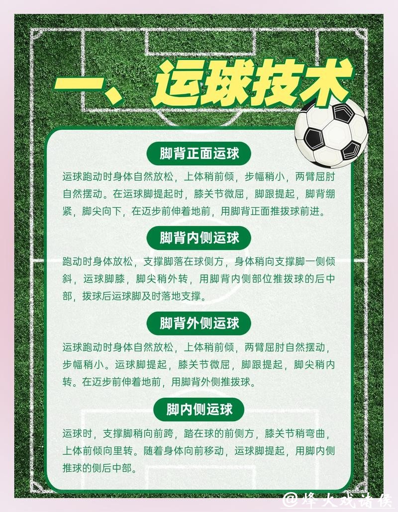 如何聪明下注世界杯，稳赚攻略揭秘